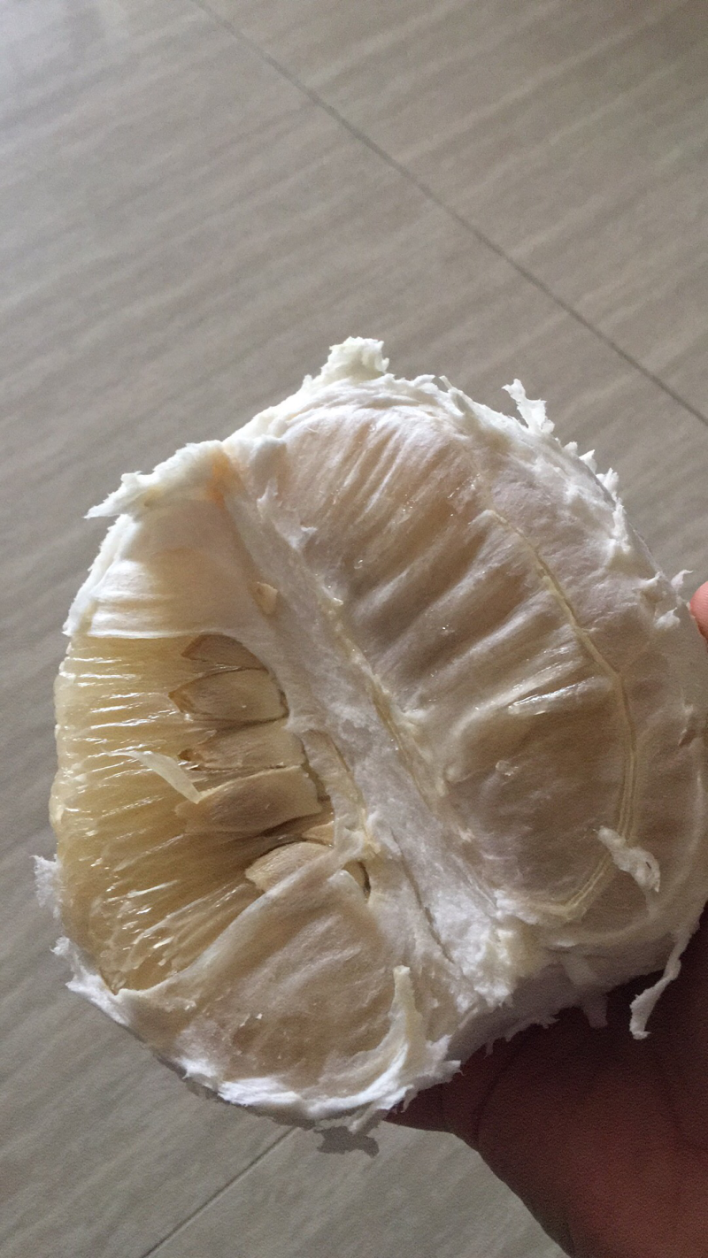 梅县桃尧沙田柚上市，自种果园直销，欢迎订购
