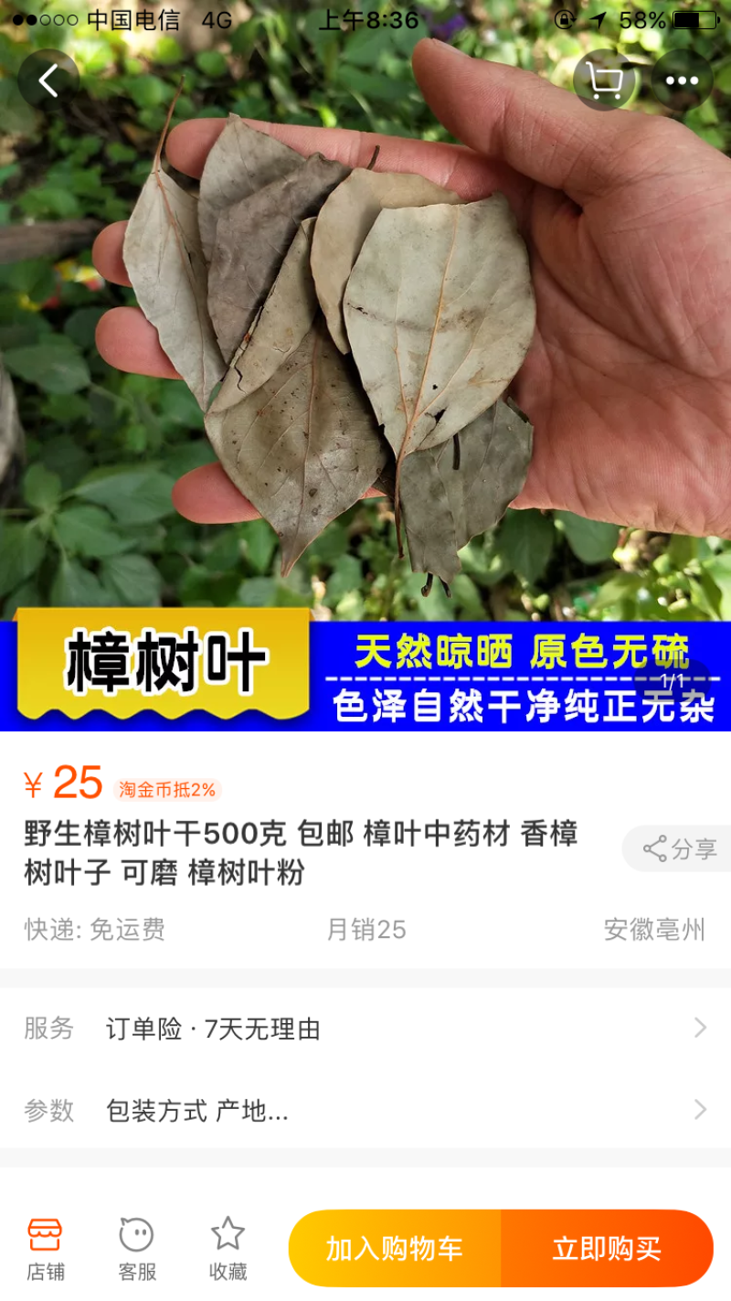樟木条