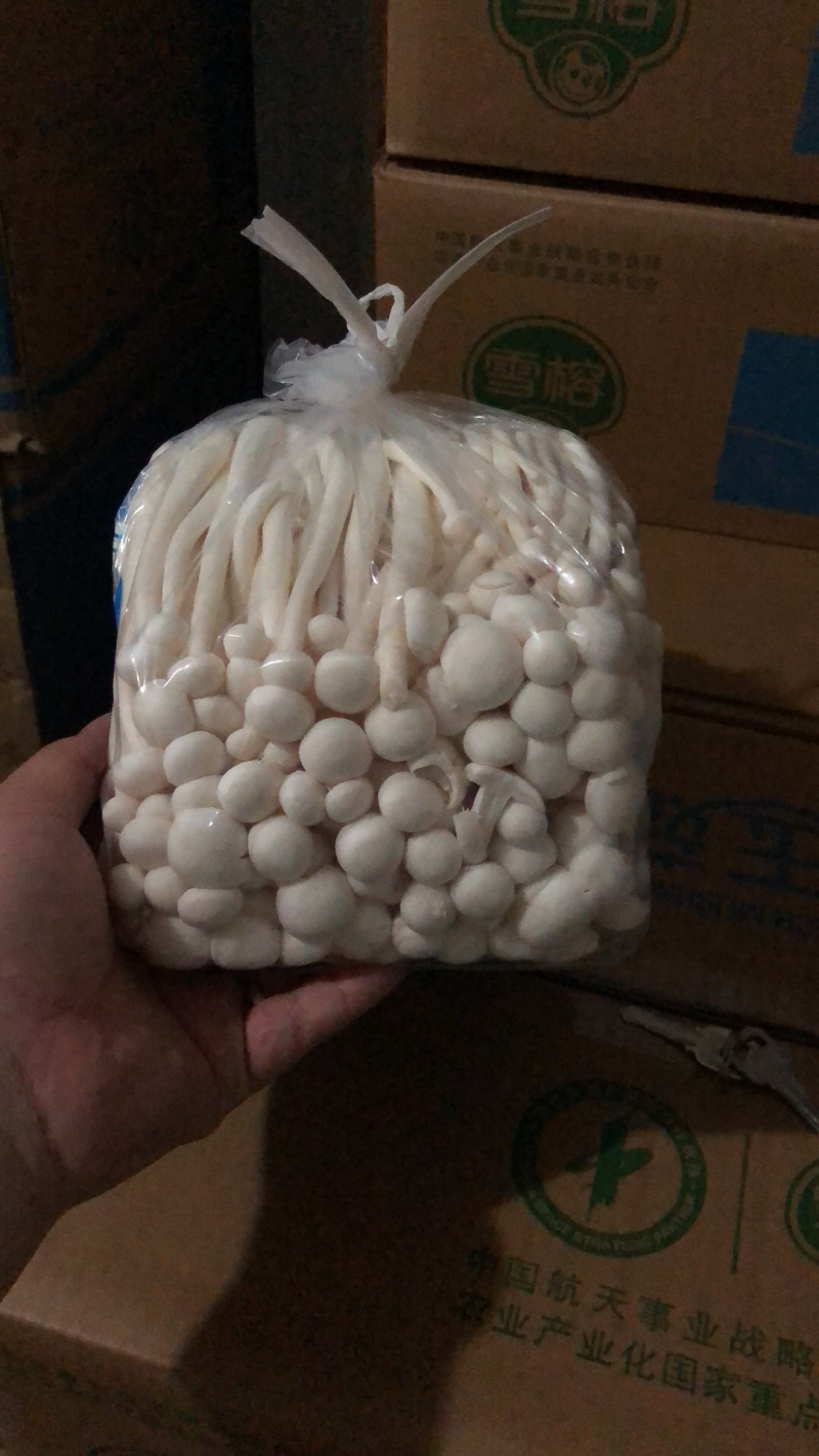 白玉菇