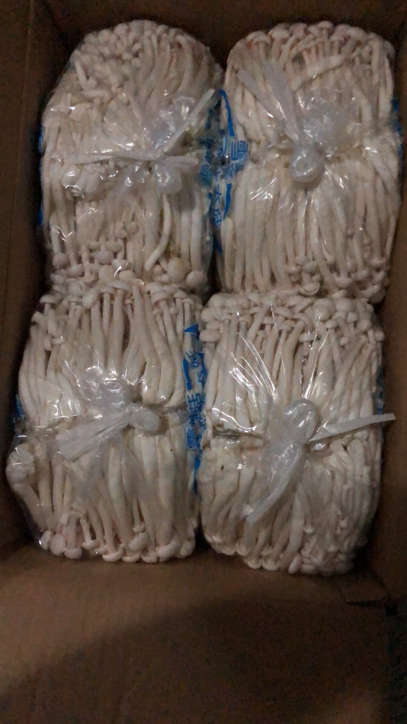 白玉菇