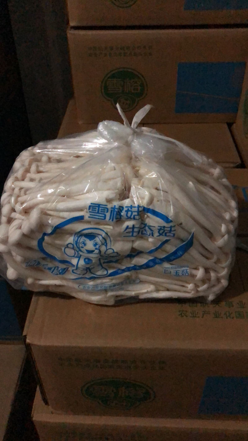 白玉菇