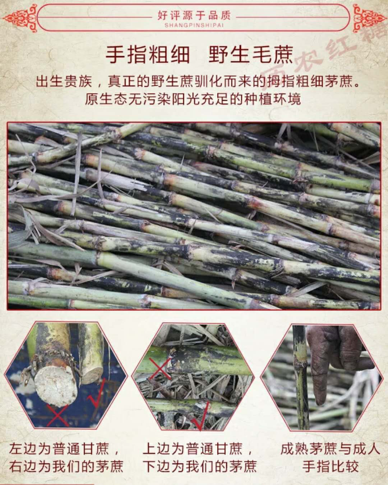 茅蔗红糖，蔗糖，瓶装零售批发