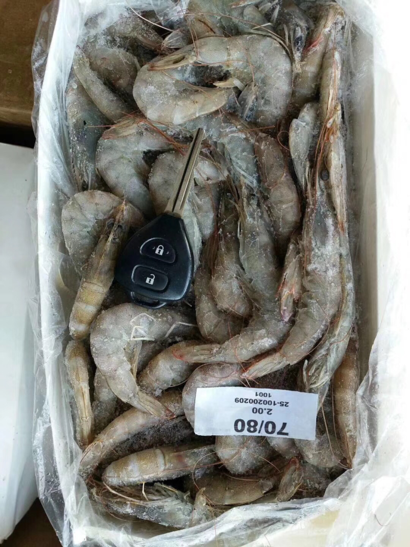 厄瓜多尔白虾