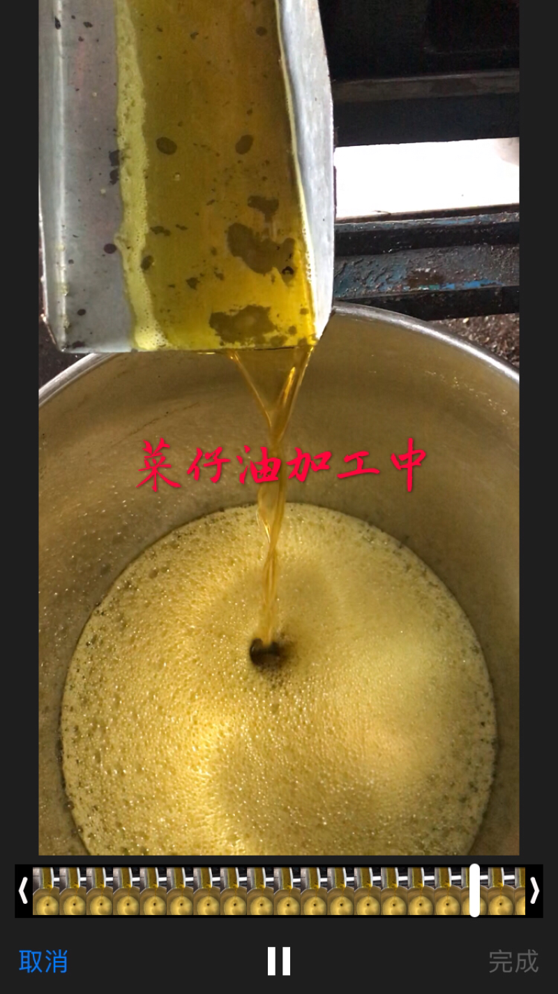 菜仔油加工现货批量订货