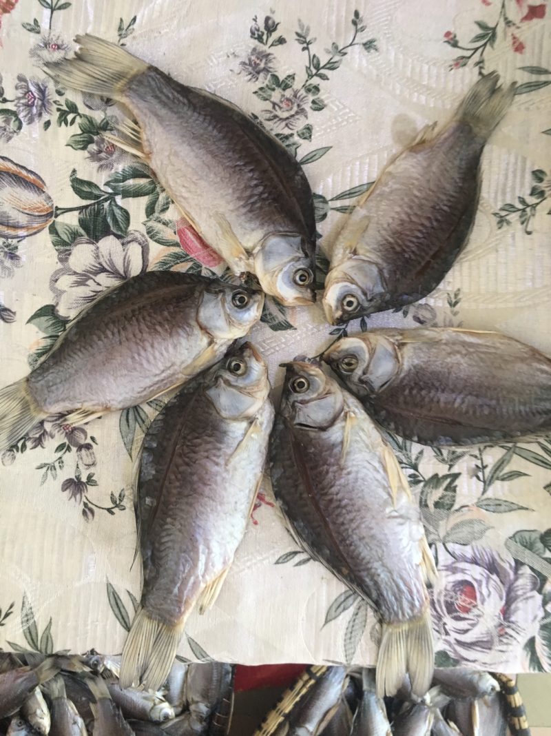 洪湖风干鲫鱼50斤起售