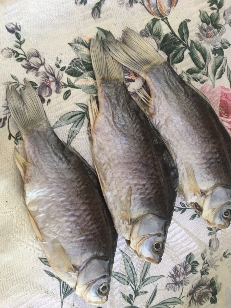 洪湖风干鲫鱼50斤起售