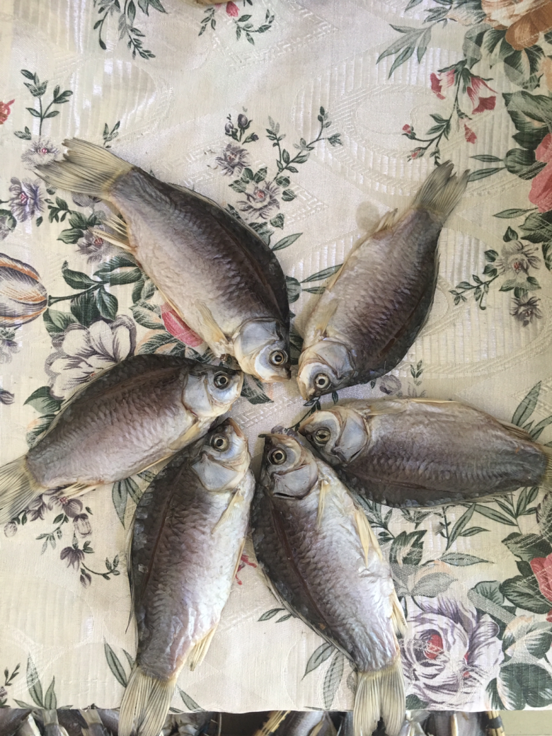 洪湖风干鲫鱼50斤起售