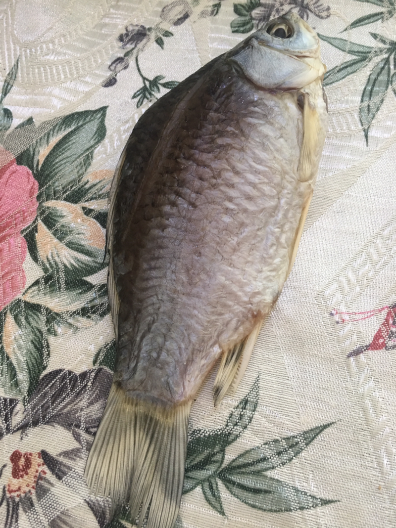 洪湖风干鲫鱼50斤起售
