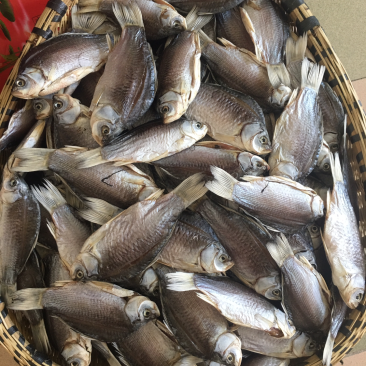 洪湖风干鲫鱼50斤起售