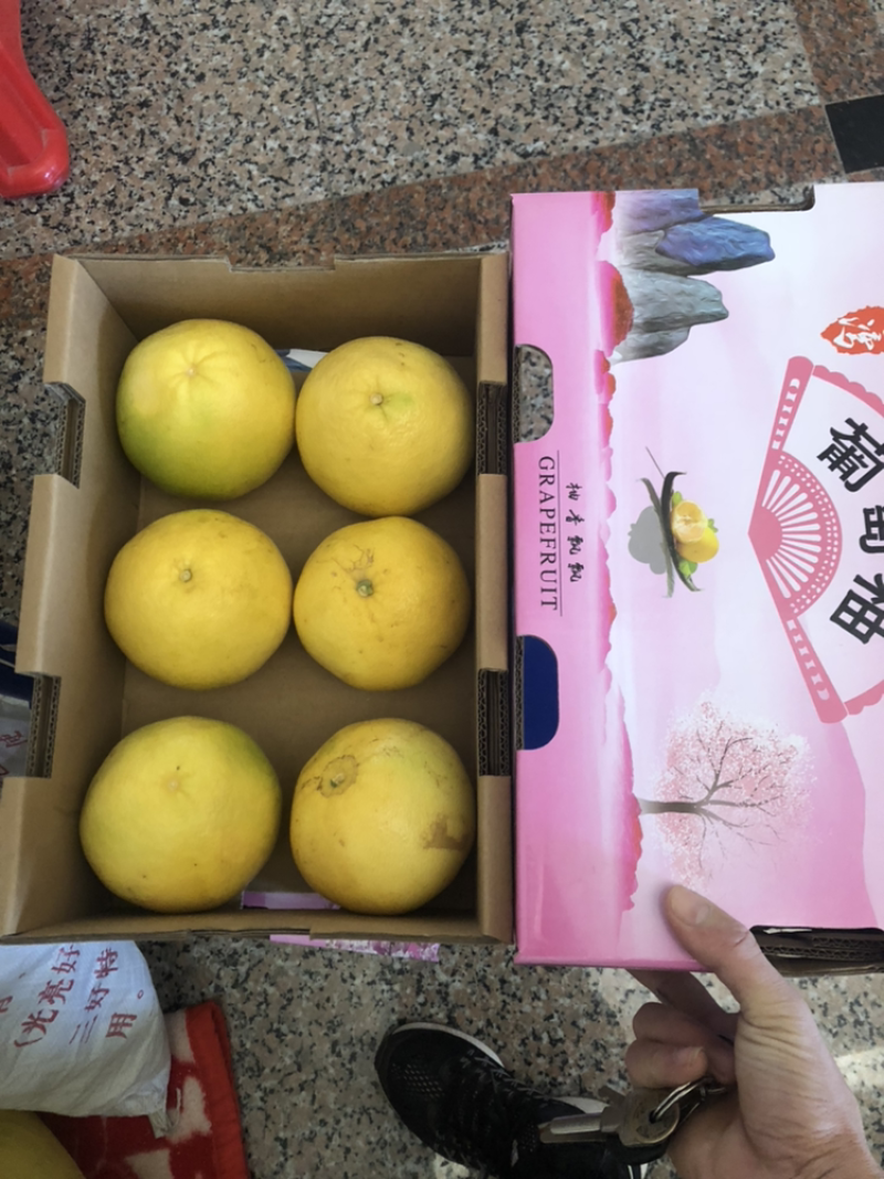 甜葡萄柚