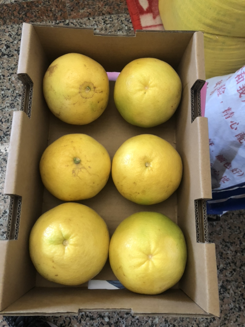 甜葡萄柚