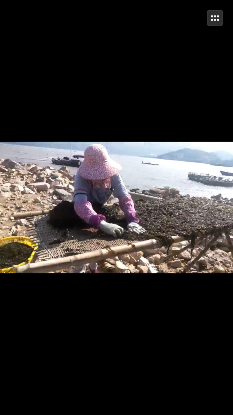 今年新的人工日晒头水紫菜（无砂无杂质)