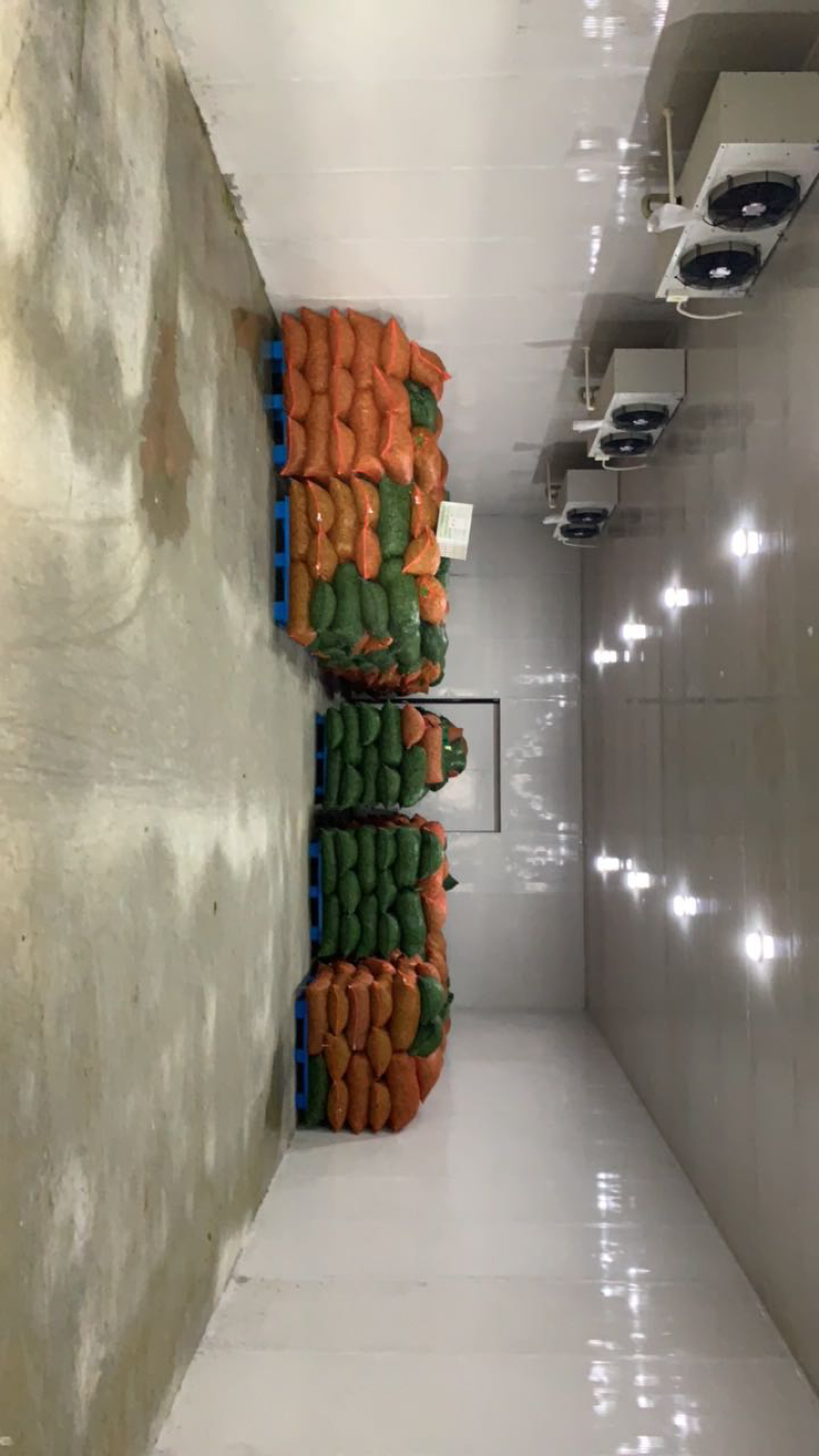 精品毛豆基地直发可视频看货对接电商市场商超