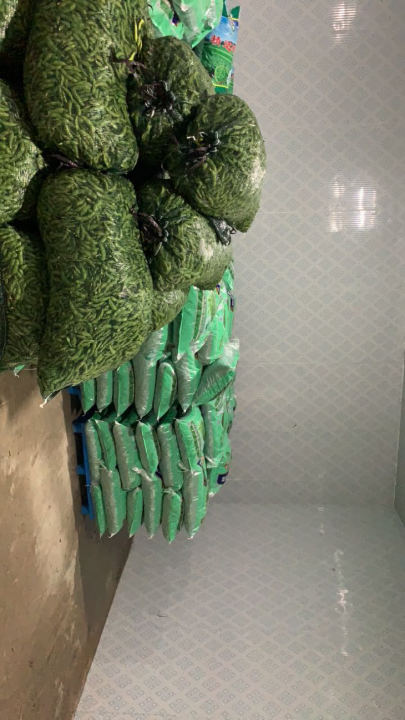 精品毛豆基地直发可视频看货对接电商市场商超