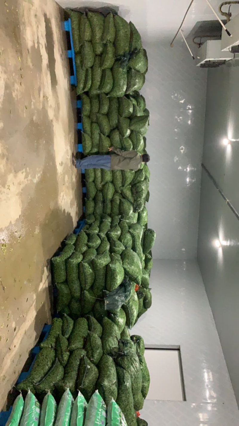 精品毛豆基地直发可视频看货对接电商市场商超