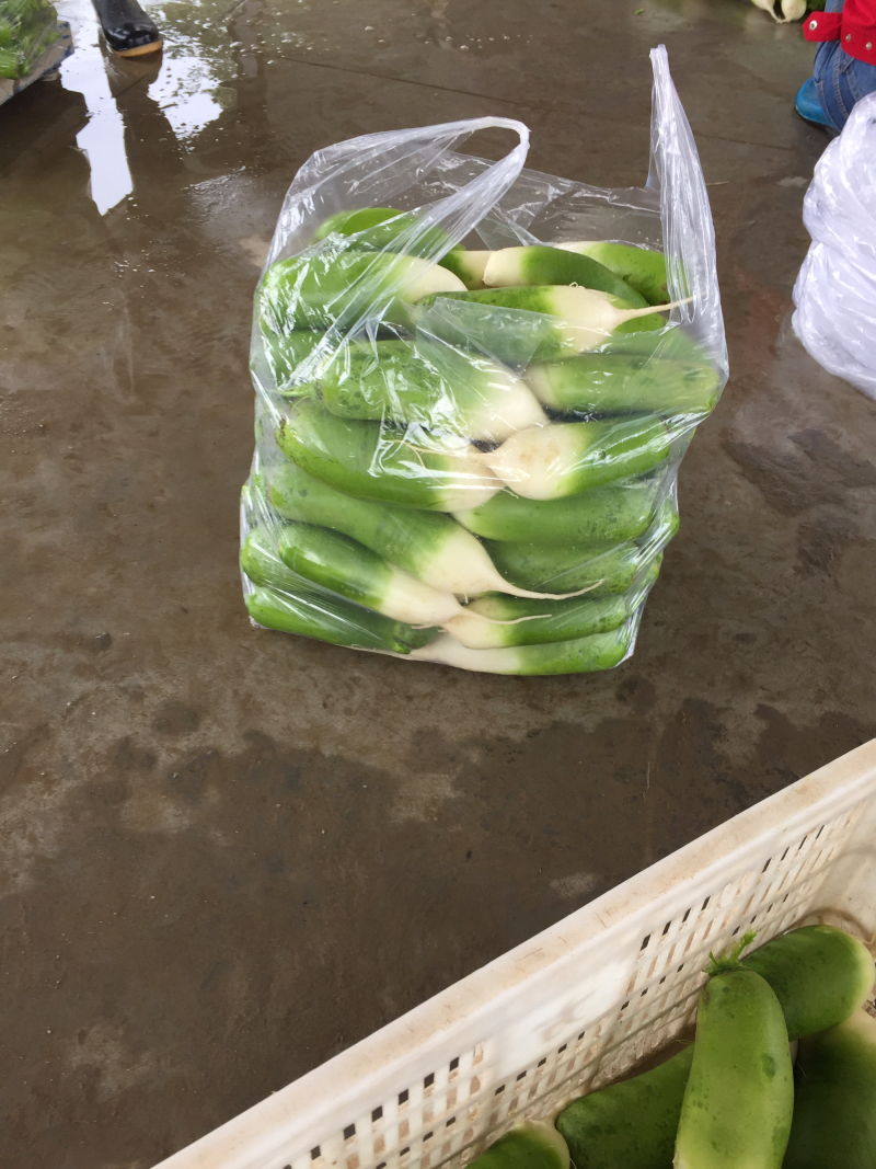 青萝卜大量上市中，欢迎来电骚扰，量大从优