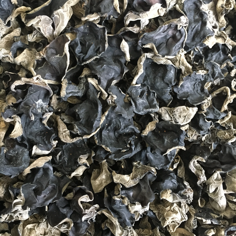 黑木耳，食用菌批发，人工黑木耳批发