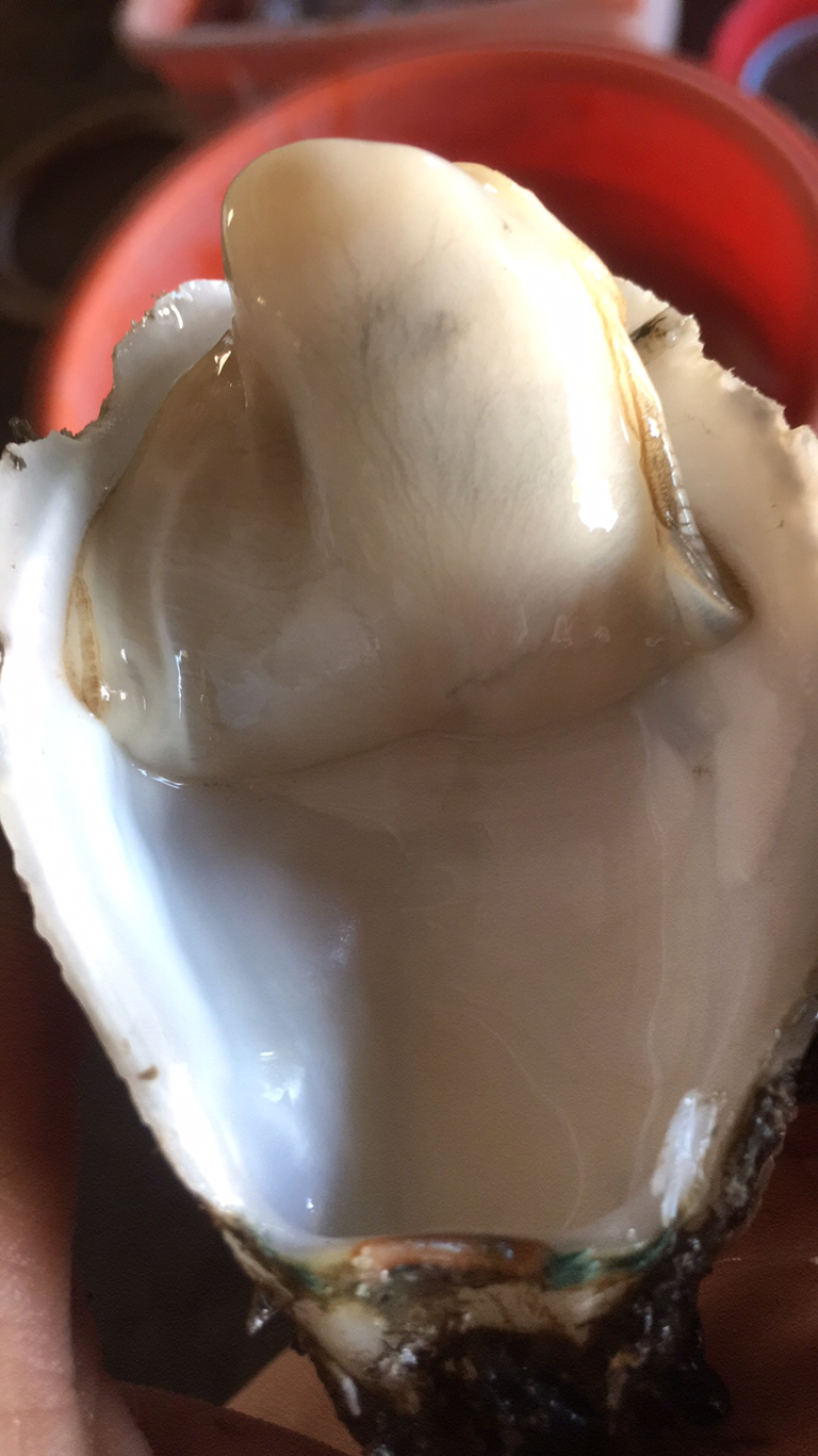 生蚝肉