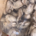 生蚝肉