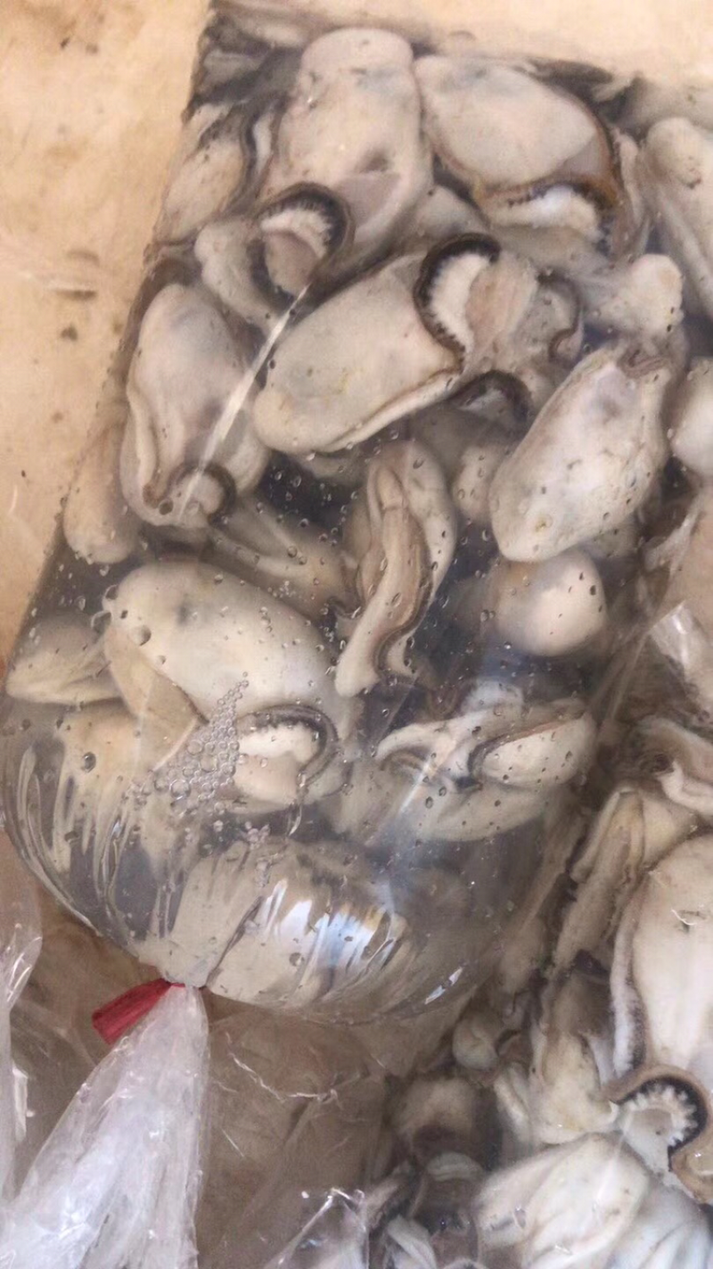 生蚝肉