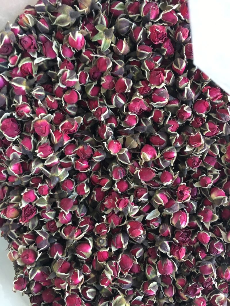 野菊花
