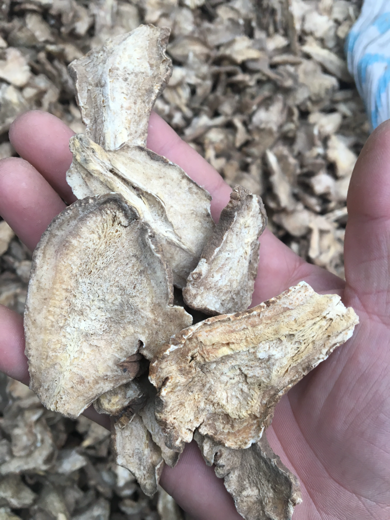 白术精品新货价格美丽