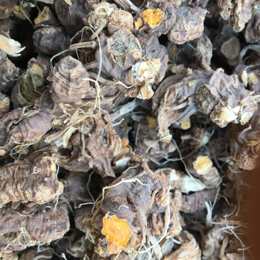 射干精品新货价格美丽