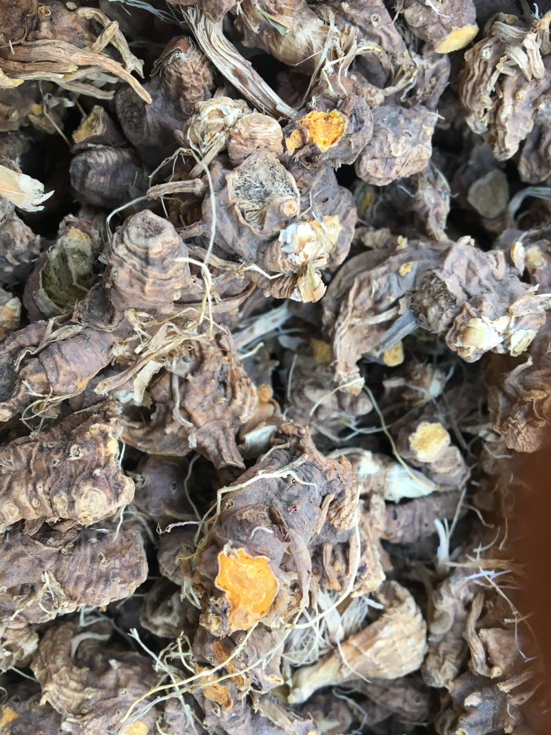 射干精品新货价格美丽