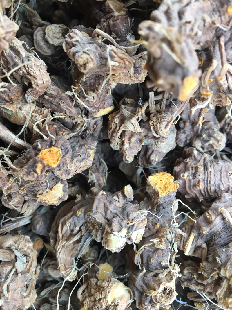 射干精品新货价格美丽