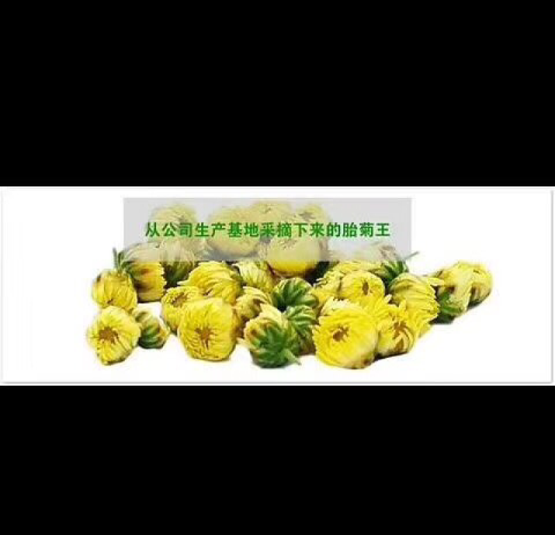 2018新采杭白菊
