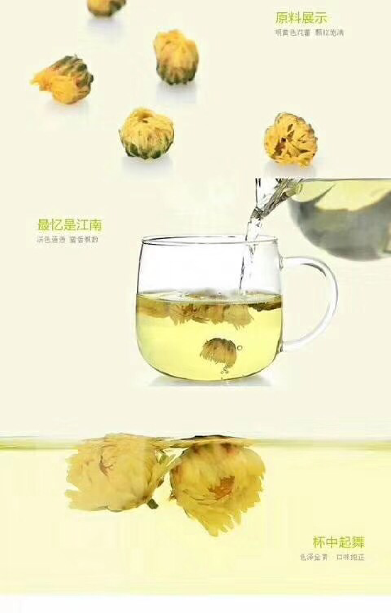 2018新采杭白菊