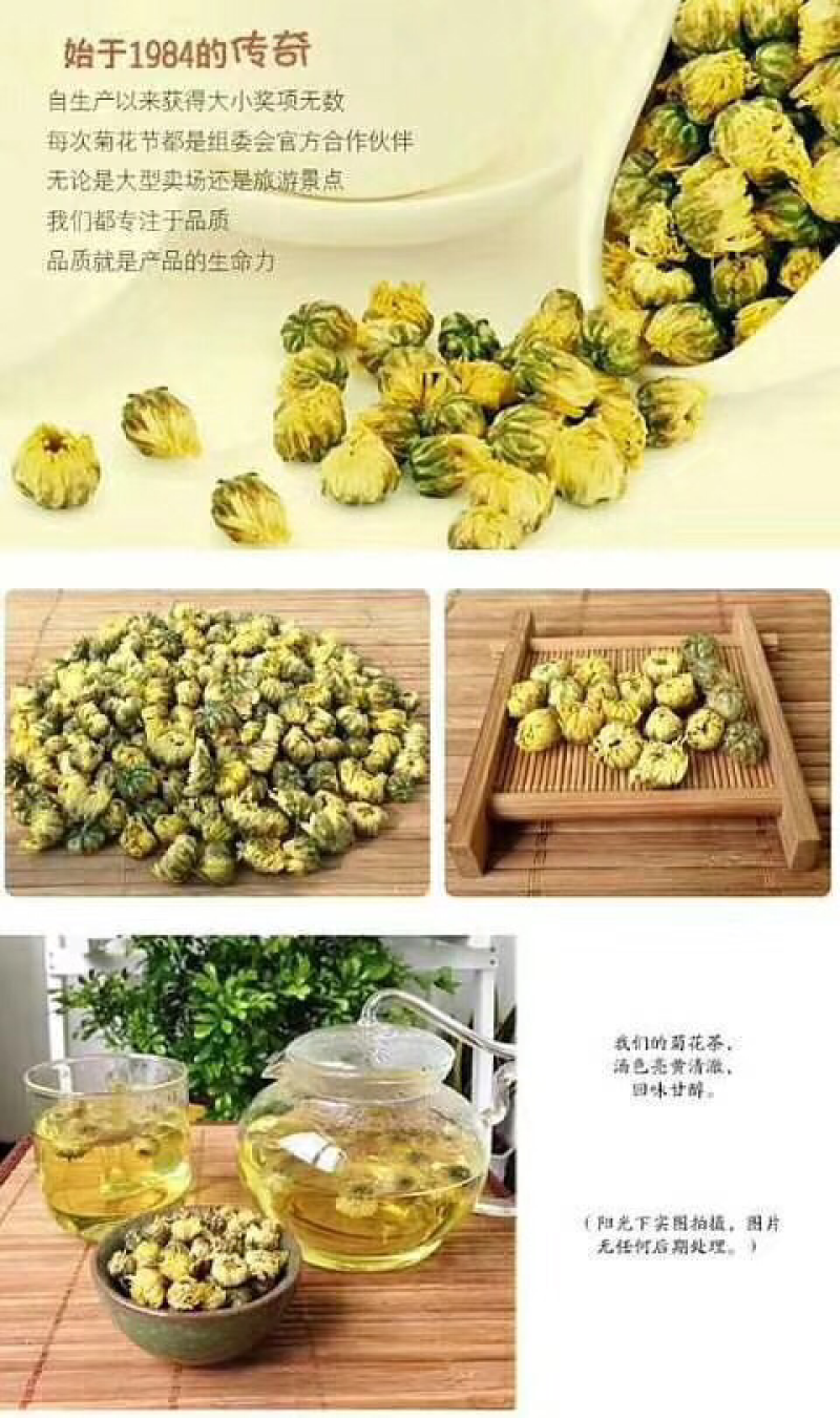 2018新采杭白菊