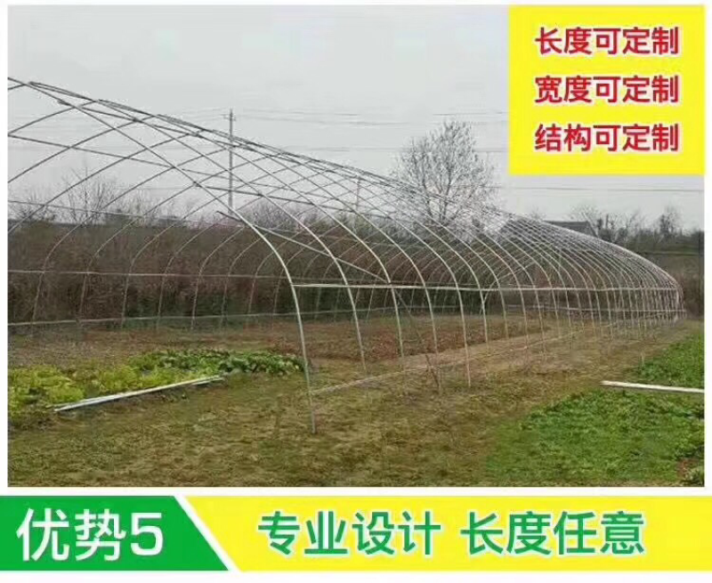 温室钢架大棚蔬菜大棚，养殖大棚，单体棚连体大棚
