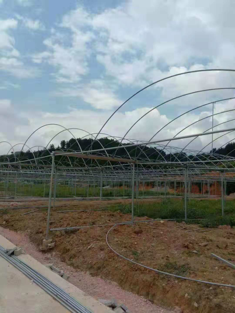 温室钢架大棚蔬菜大棚，养殖大棚，单体棚连体大棚