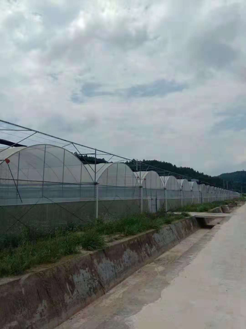 温室钢架大棚蔬菜大棚，养殖大棚，单体棚连体大棚