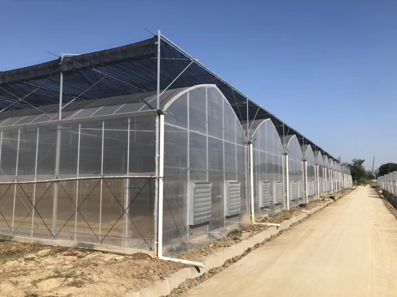 温室钢架大棚蔬菜大棚，养殖大棚，单体棚连体大棚
