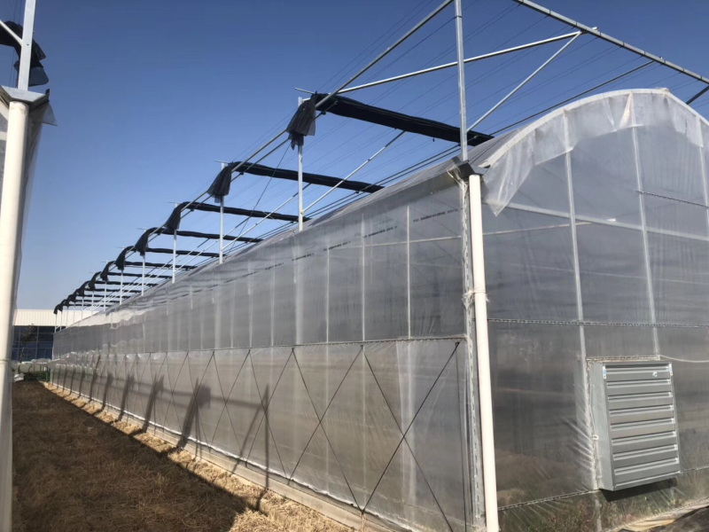 温室钢架大棚蔬菜大棚，养殖大棚，单体棚连体大棚