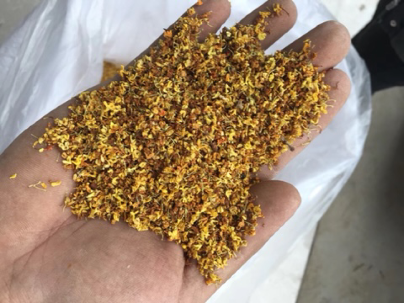 产地直销桂花茶，批发花茶，亳州花茶
