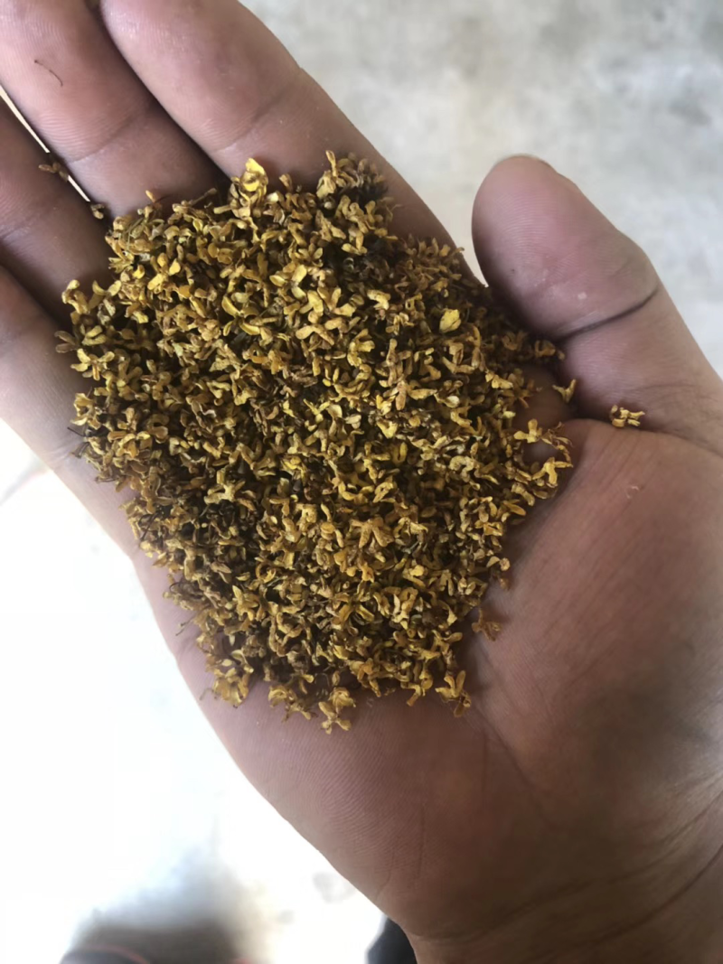 产地直销桂花茶，批发花茶，亳州花茶