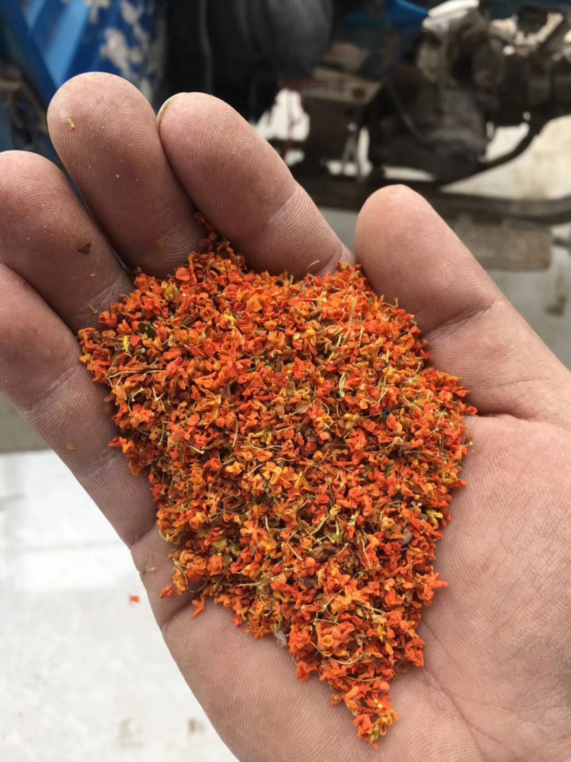 产地直销桂花茶，批发花茶，亳州花茶