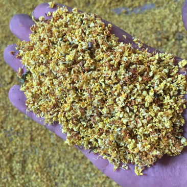 产地直销桂花茶，批发花茶，亳州花茶