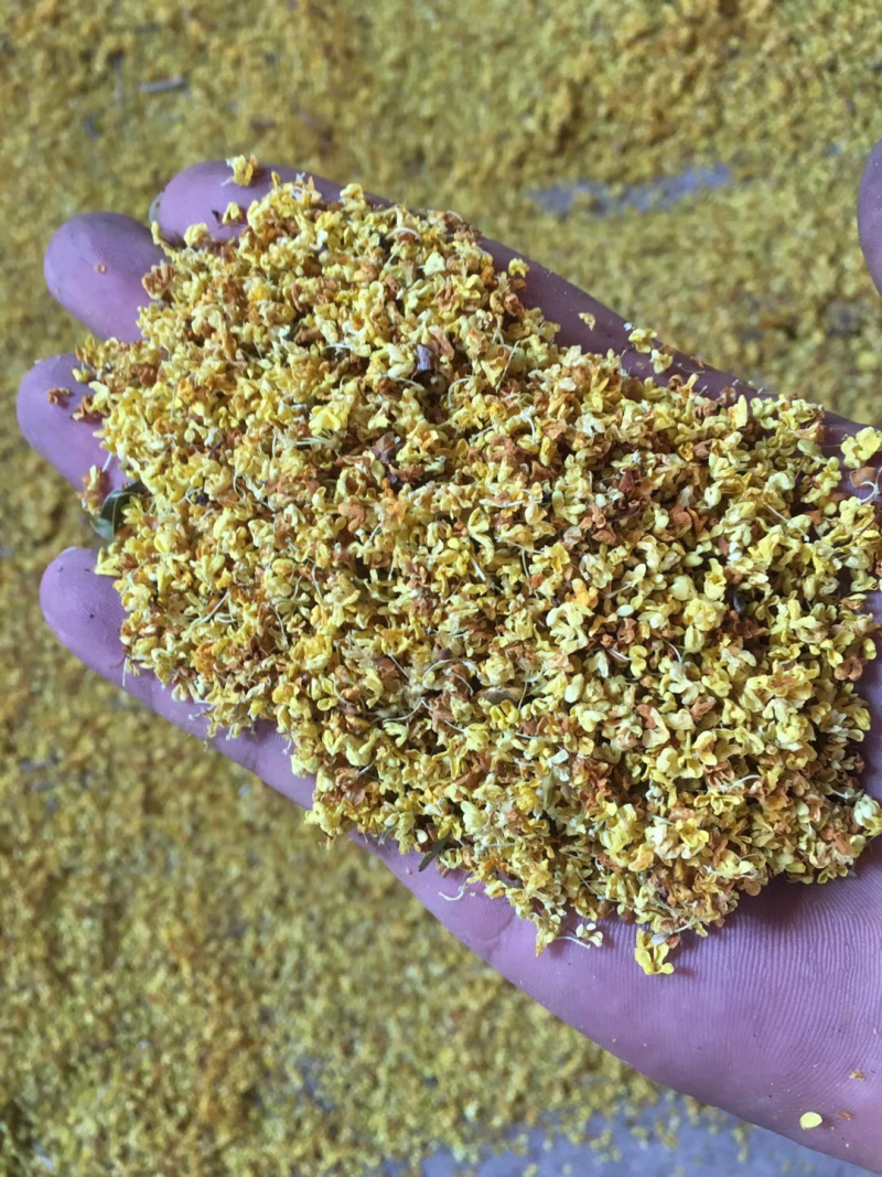 产地直销桂花茶，批发花茶，亳州花茶