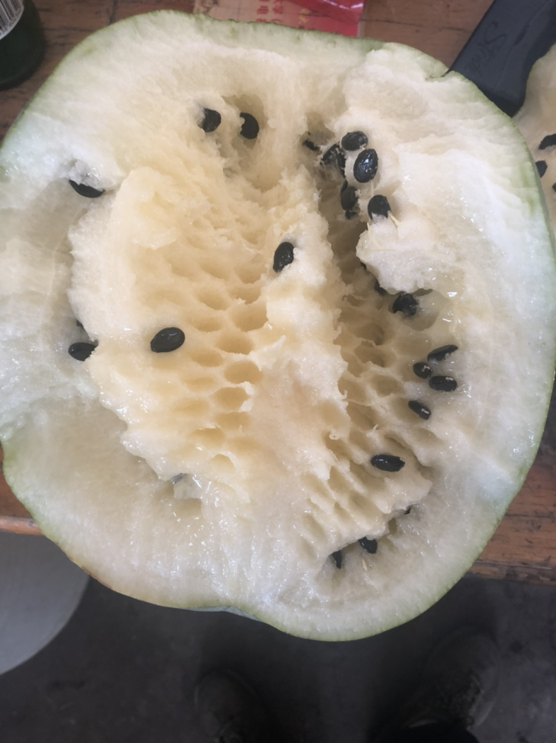 保健瓜