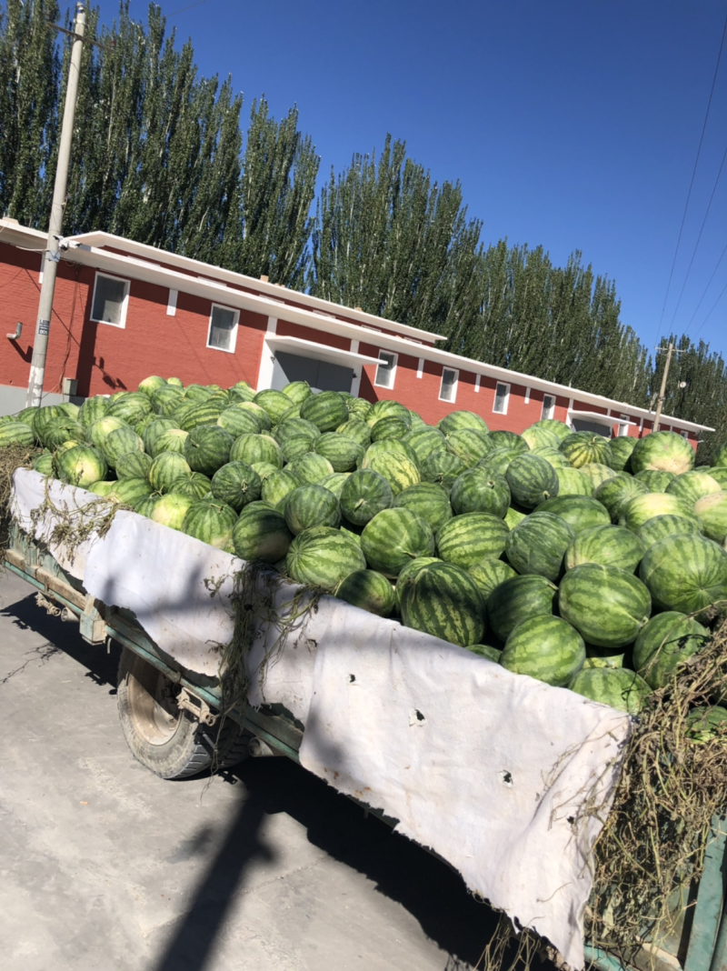 保健瓜