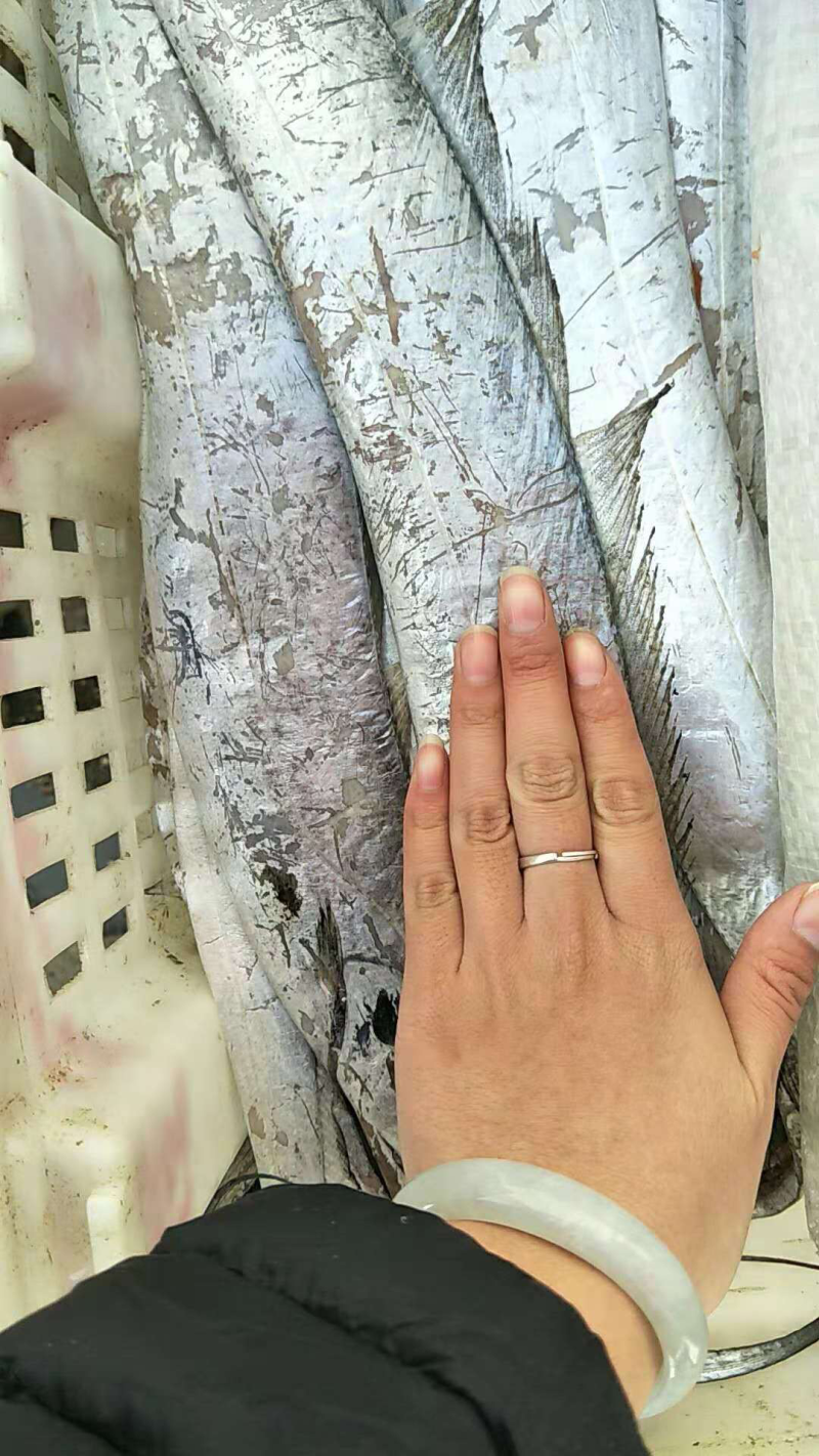 鲳鱼，刀鱼