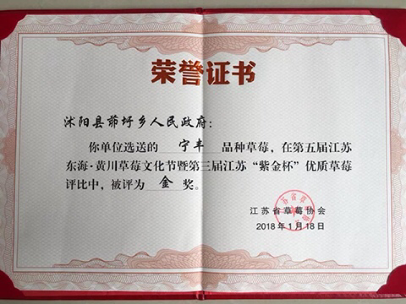 我们先后从省农科院引进久香、红颜、明宝，甜查理等多个