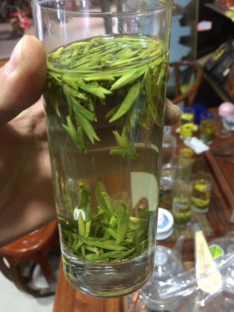 龙井绿茶浙江松阳龙井小芽龙井扁茶绿茶