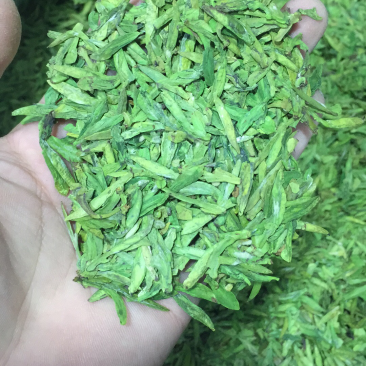 龙井绿茶浙江松阳龙井小芽龙井扁茶绿茶