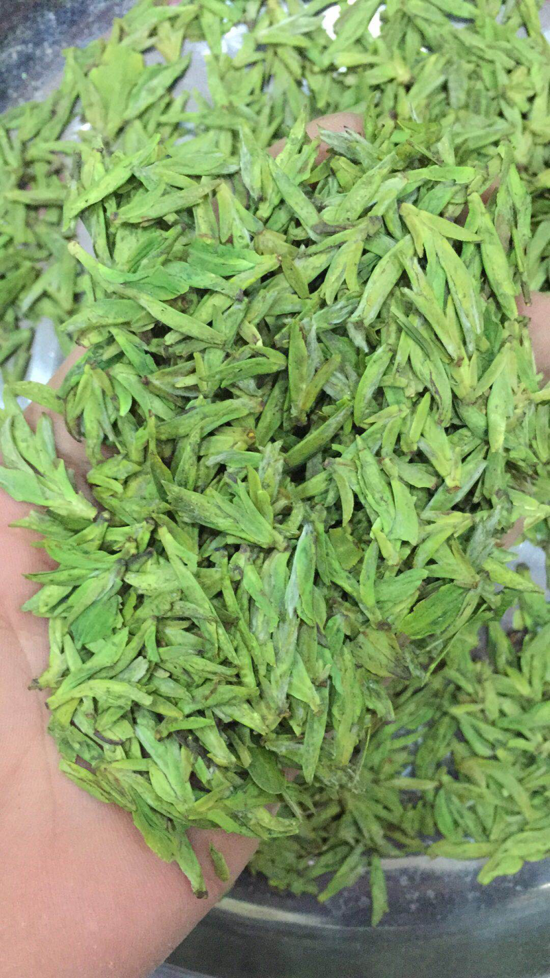 龙井绿茶浙江松阳龙井小芽龙井扁茶绿茶