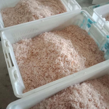 无盐淡干虾皮干